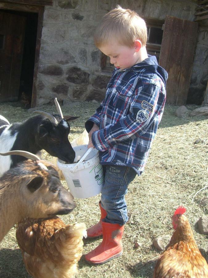Kompatscherhof Castelrotto Zewnętrze zdjęcie