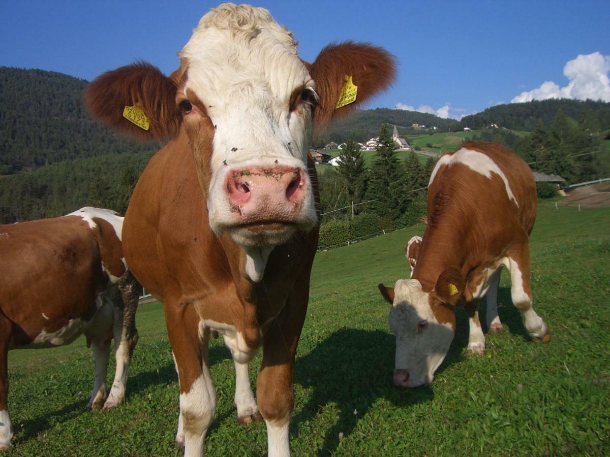 Kompatscherhof Castelrotto Zewnętrze zdjęcie